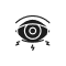 SEO for Optometrist supporting visual 8