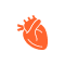 SEO For Doctors supporting visual 5