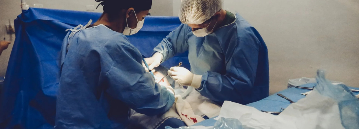 Plastic Surgery SEO: Optimizing Your Online Presence for Cosmetic and Plastic Surgery article cover